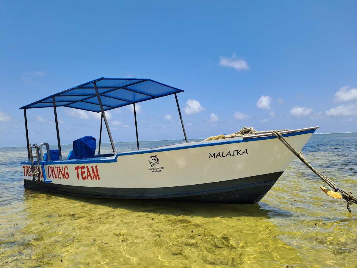 Diving Team Mombasa (Bahari Beach) photo 4