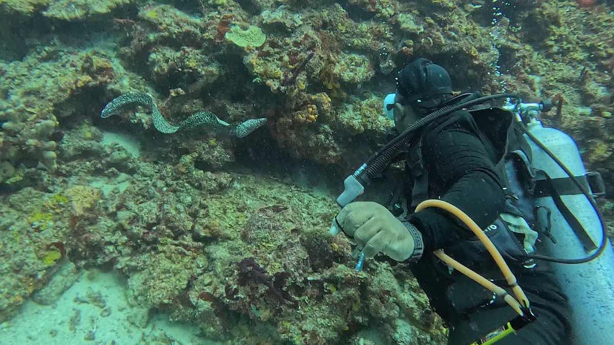 Action Adventure Divers photo 5