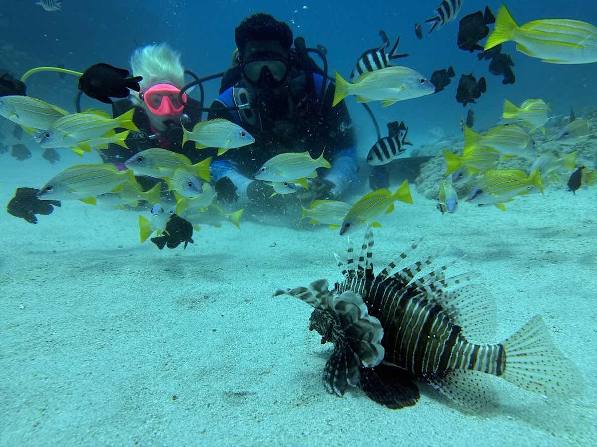 Merman Diving Mauritius photo 1