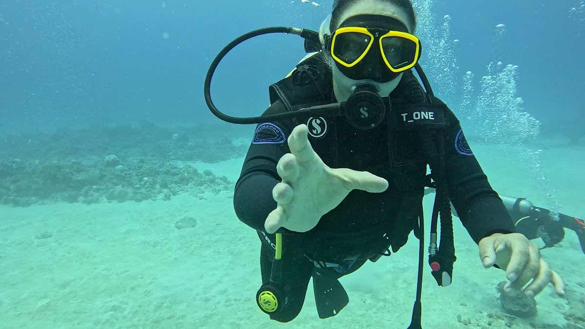 Merman Diving Mauritius photo 9