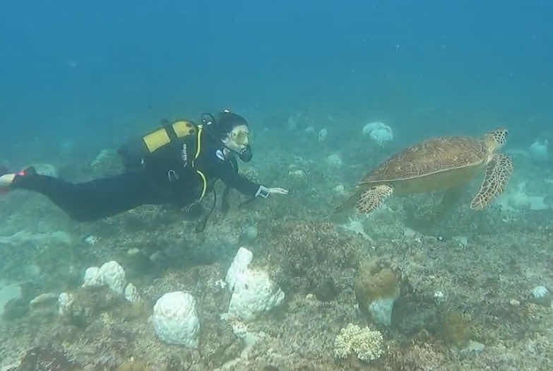 Merman Diving Mauritius photo 10
