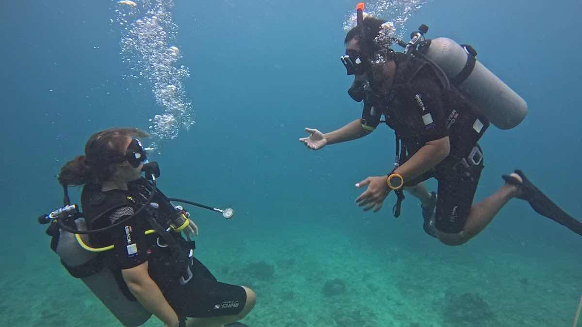 Divine Divers photo 3