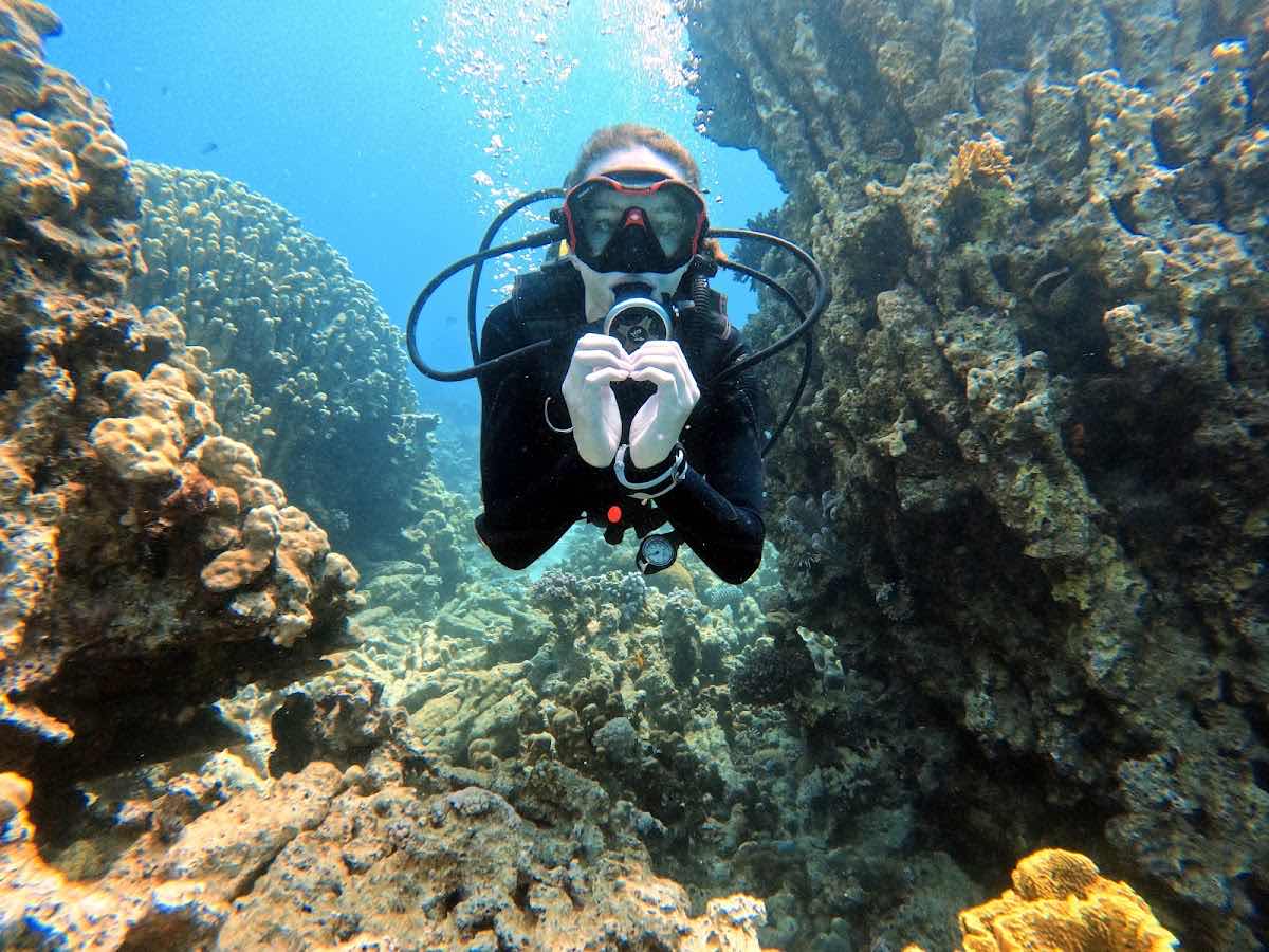 Aqaba Seahorse Dive Center photo 1