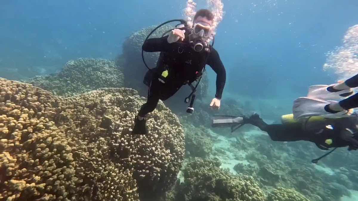 Aqaba Seahorse Dive Center photo 8