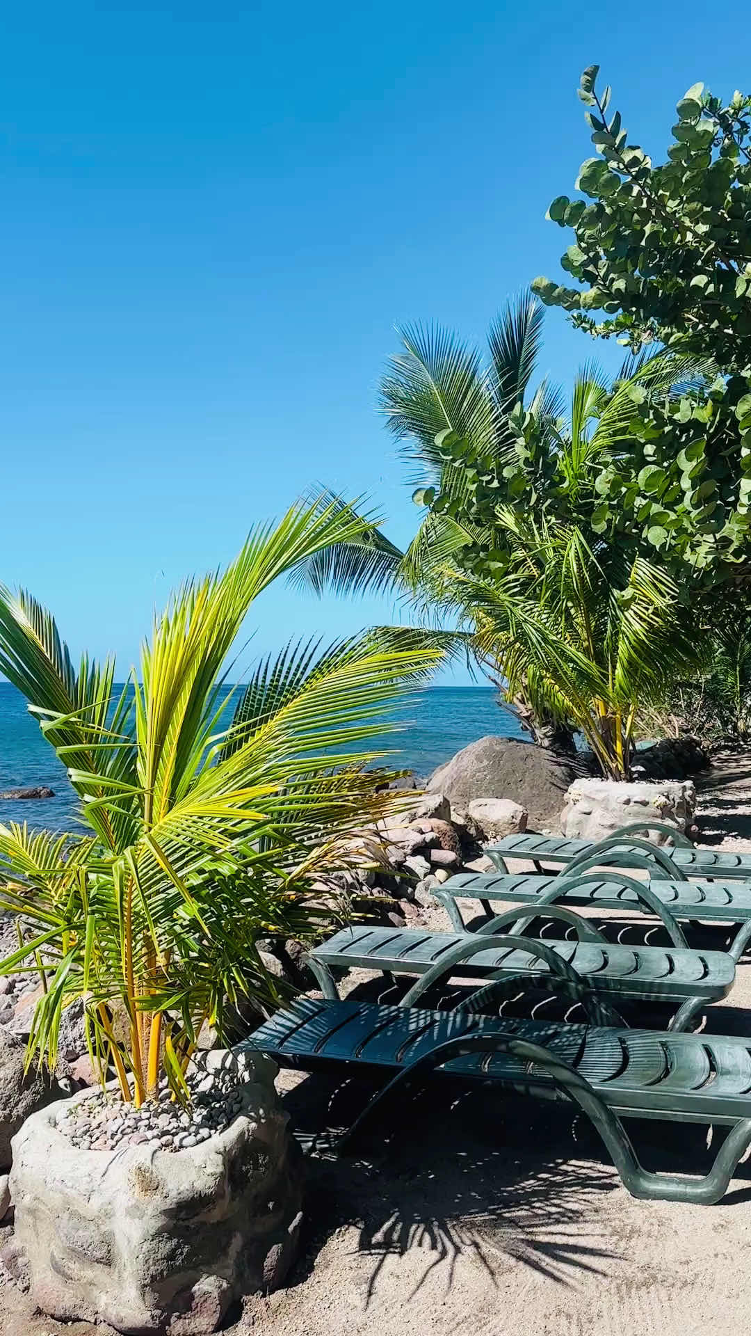 Donny's Watersports Snorkel and Dive Center photo 4