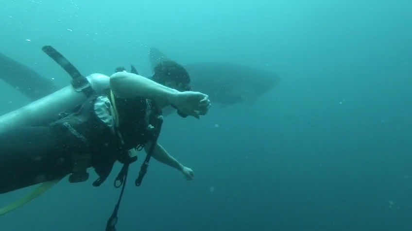 Haad Yao Divers photo 2