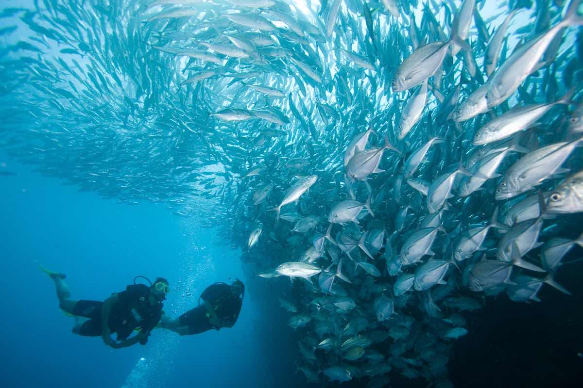 Haad Yao Divers photo 6