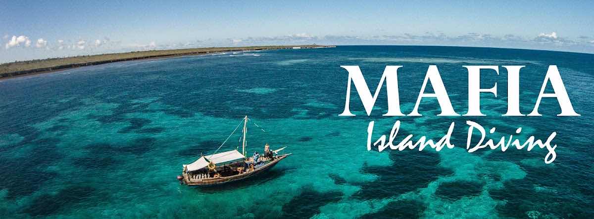 Mafia Island Diving photo 1