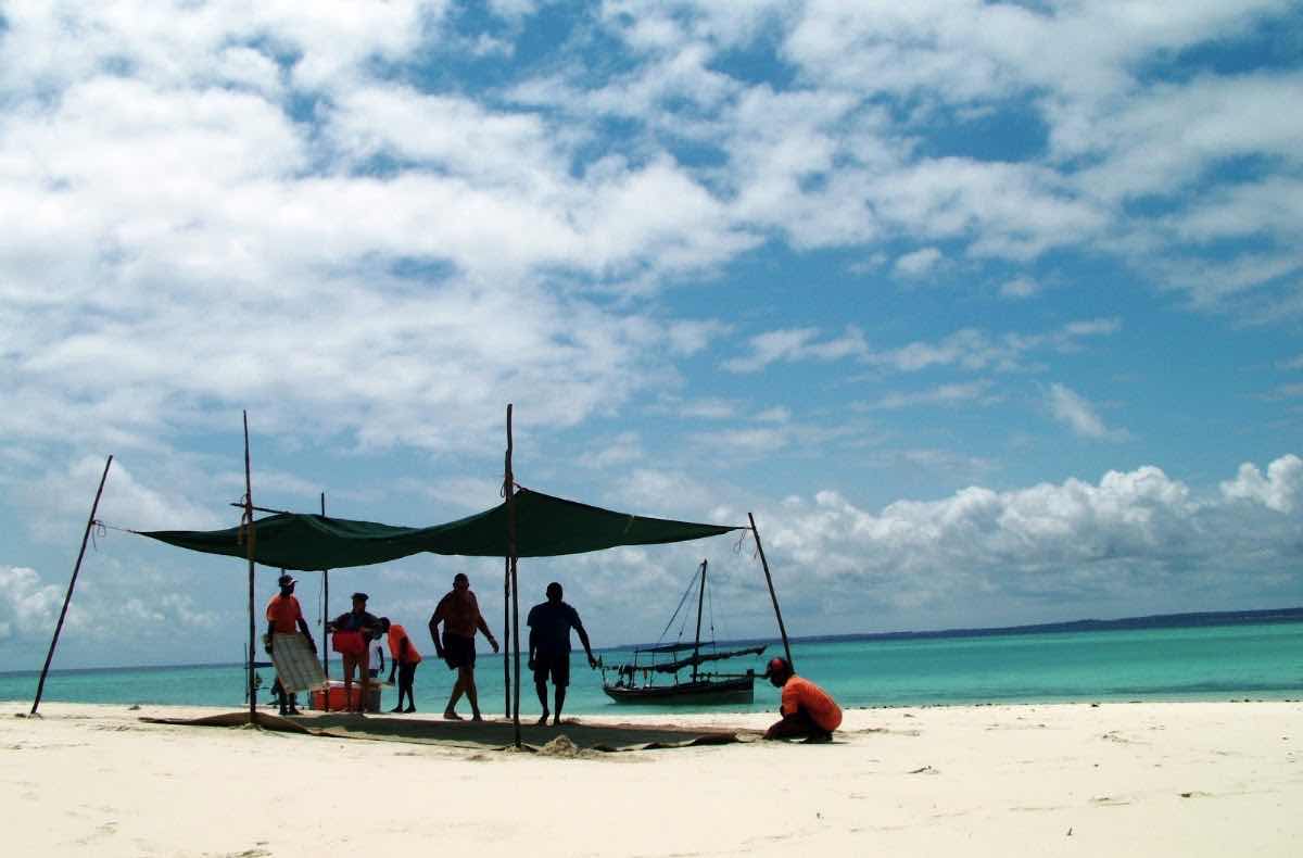 Mafia Island Diving photo 6