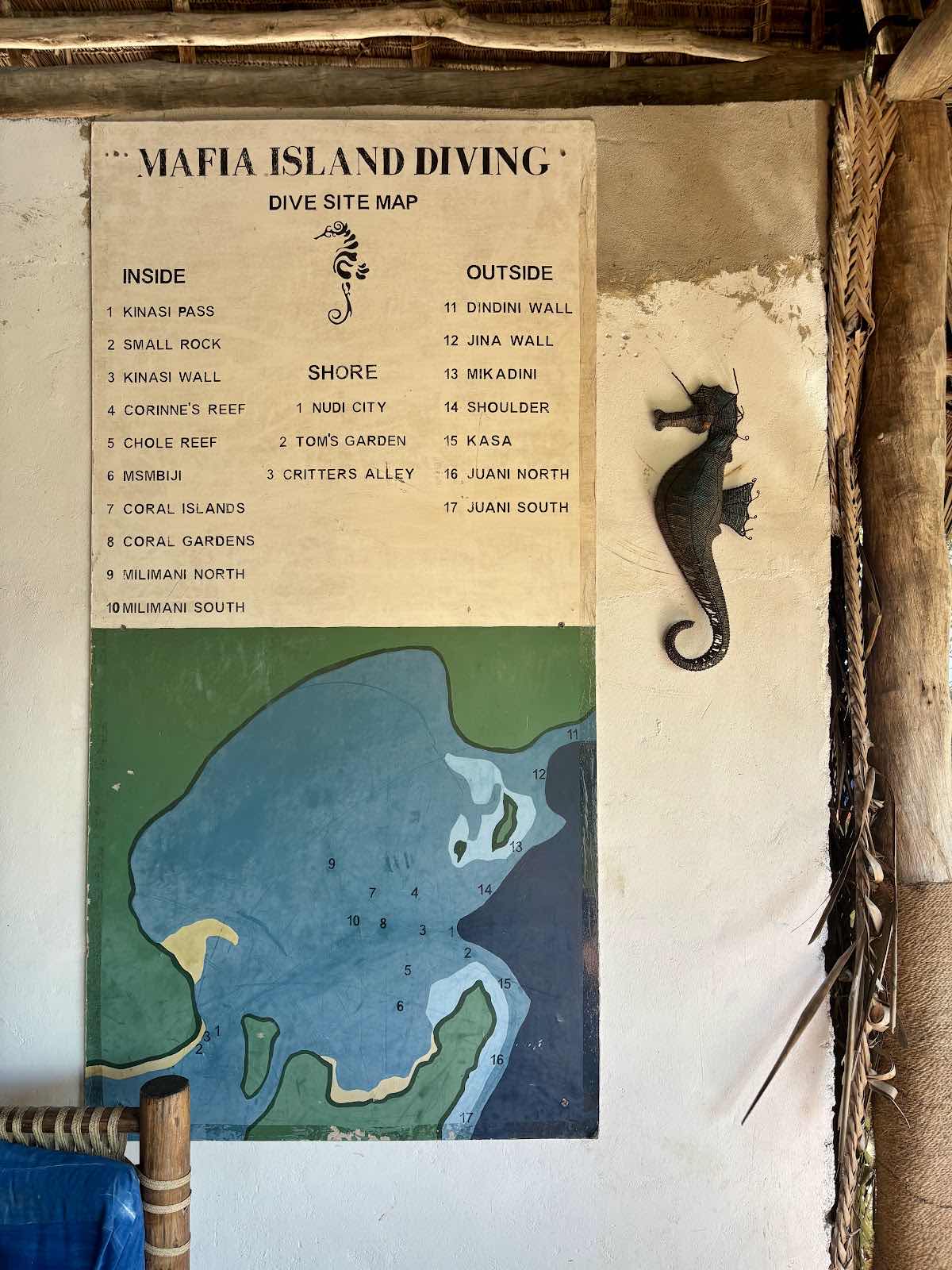 Mafia Island Diving photo 10