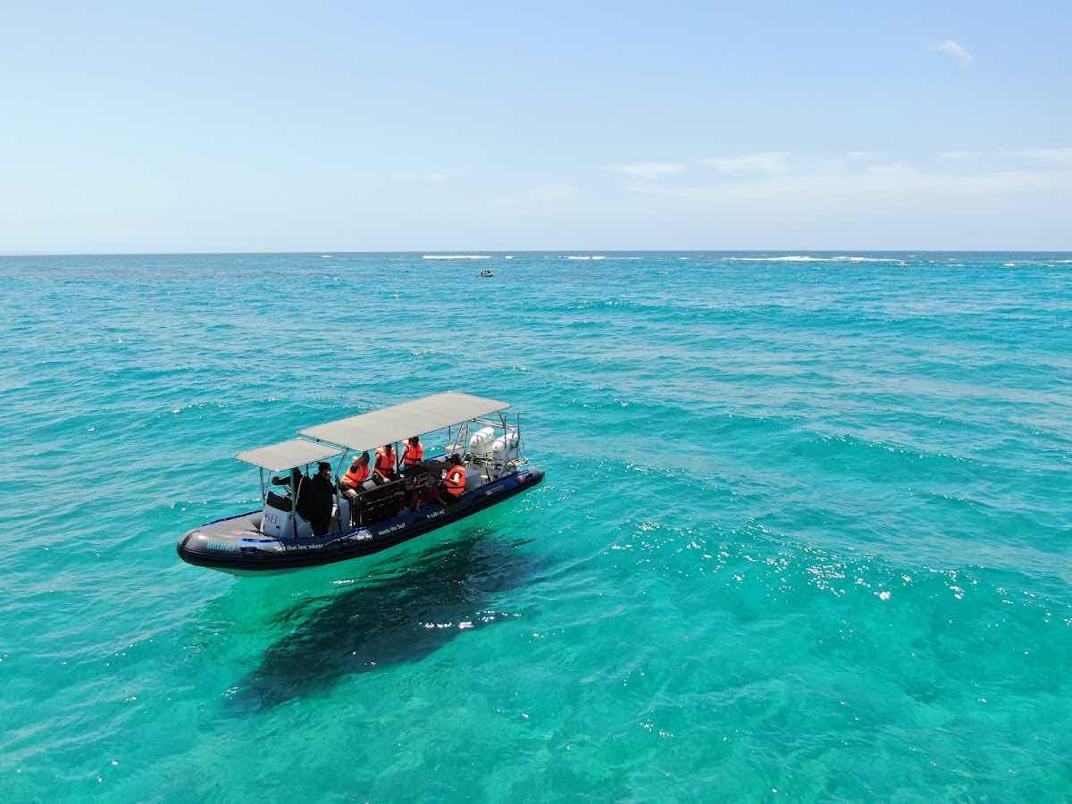 Aquaholics Barra Scuba and Activities photo 4