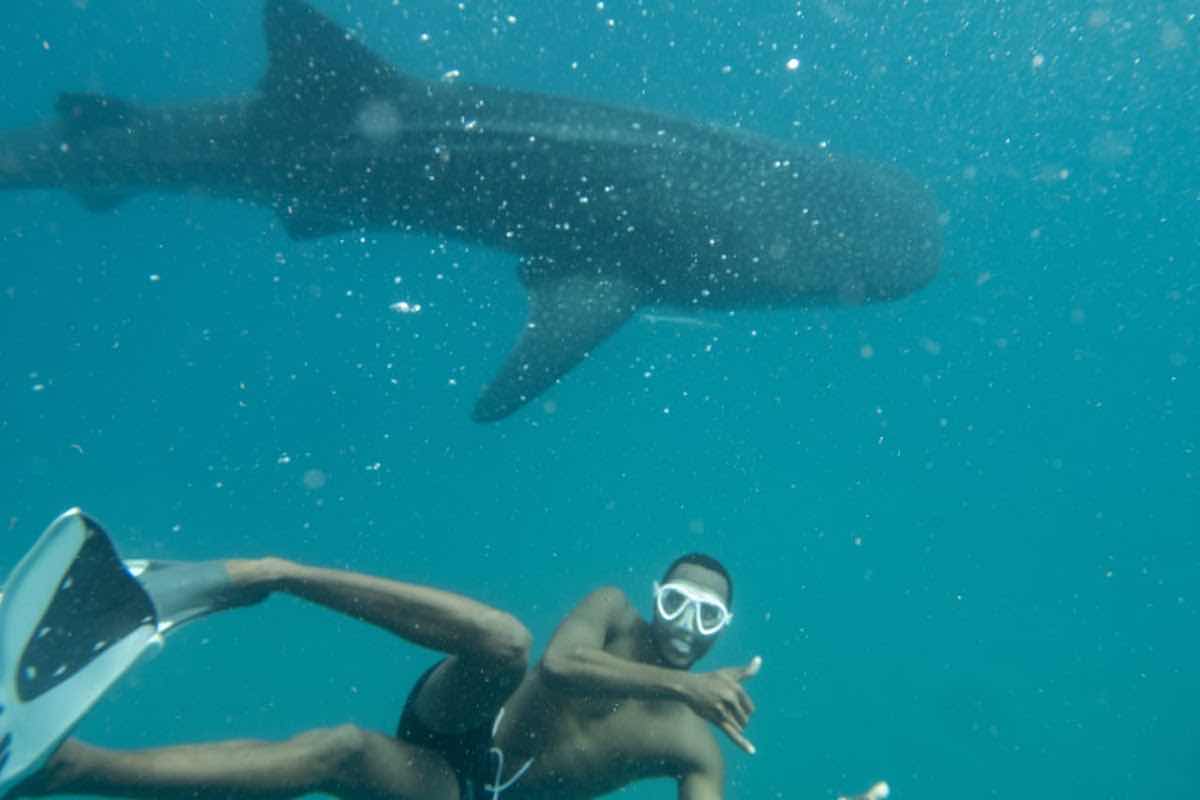 Aquaholics Barra Scuba and Activities photo 6