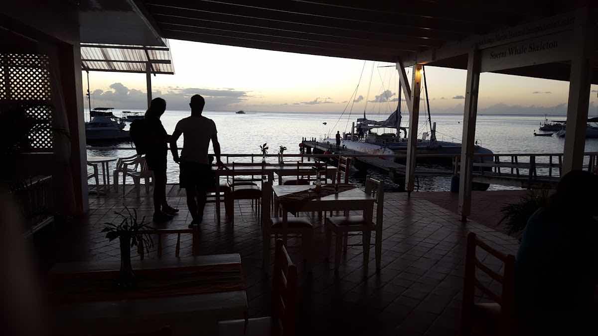 Dive Dominica photo 4