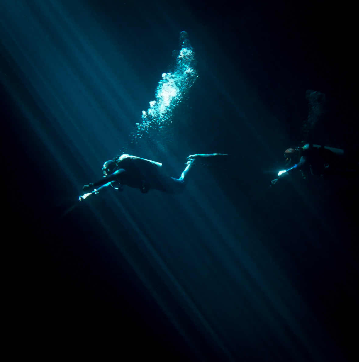 Cenote Adventures photo 1