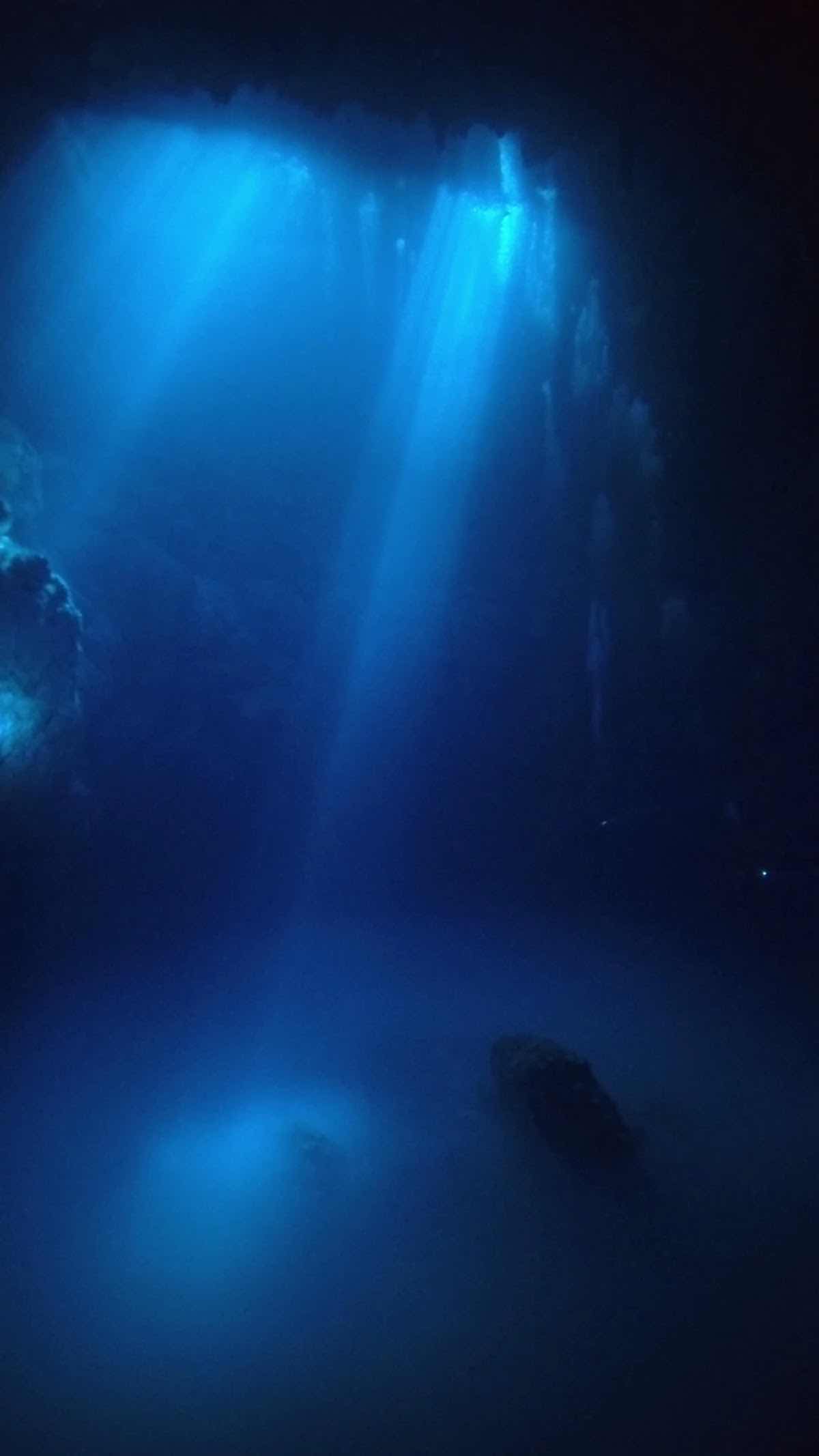 Cenote Adventures photo 3