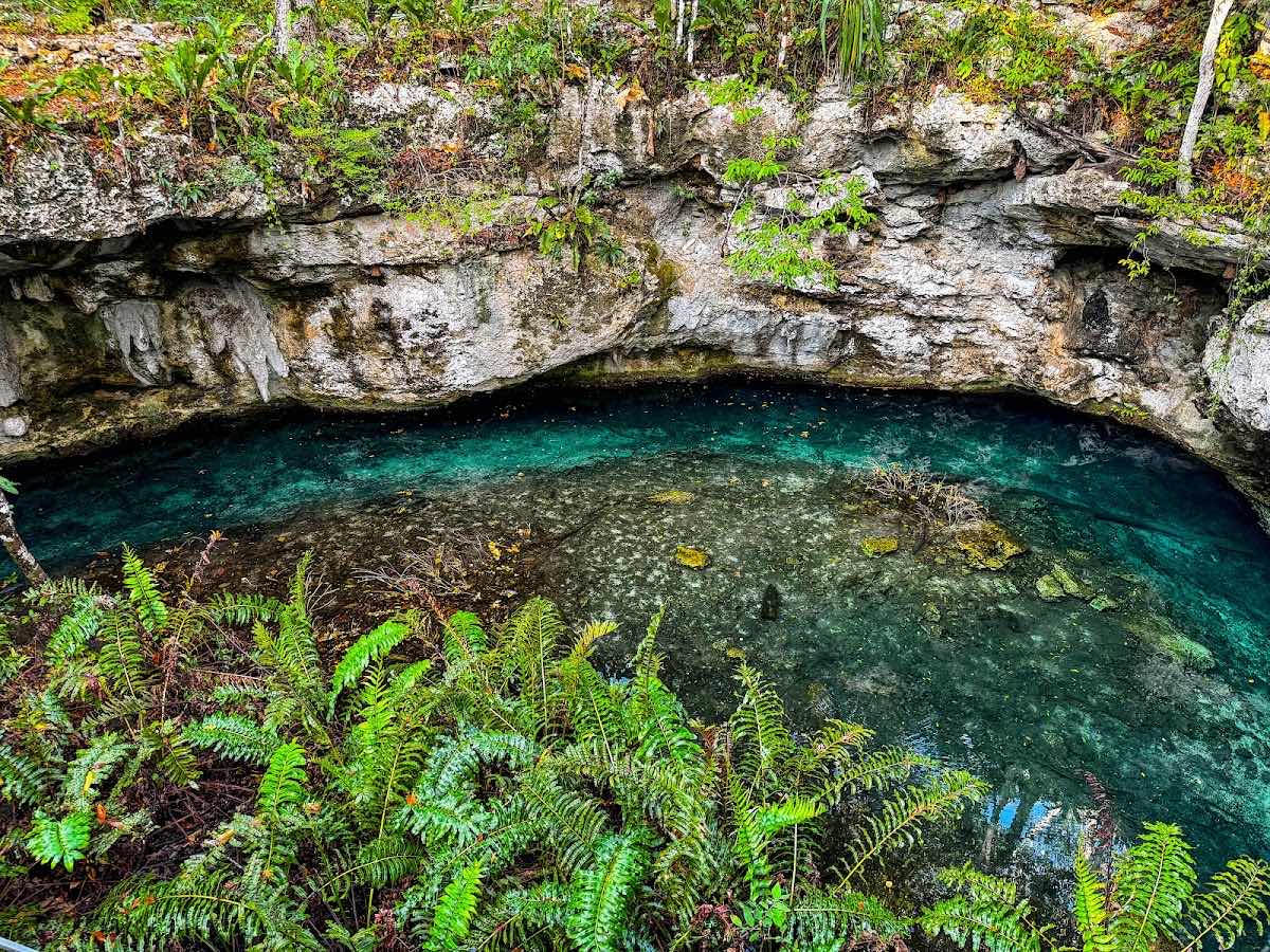 Cenote Adventures photo 4