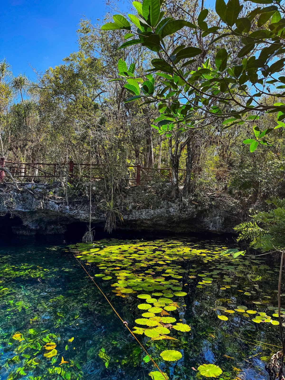 Cenote Adventures photo 6