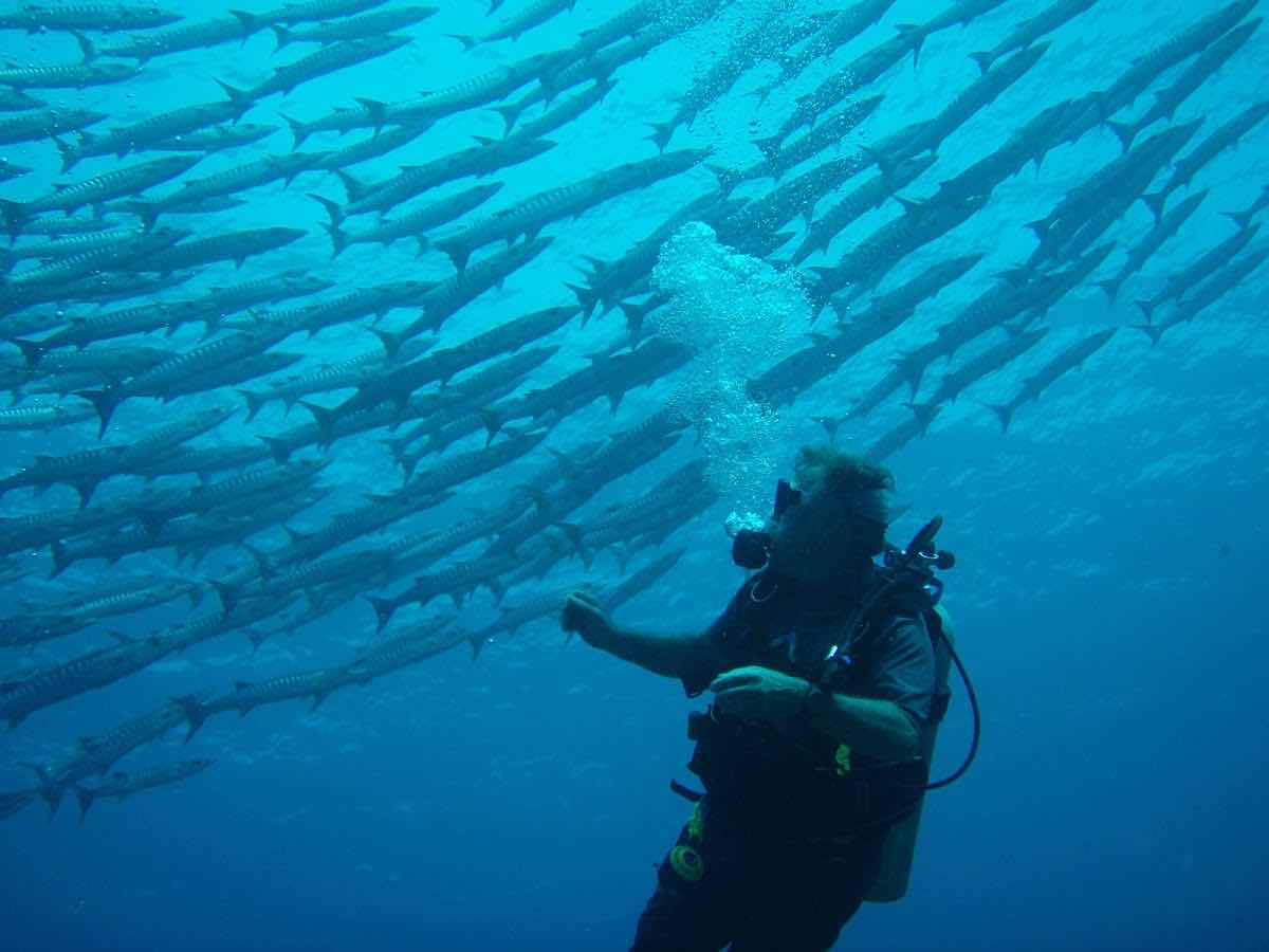 Laidenki Diving and Tours photo 4