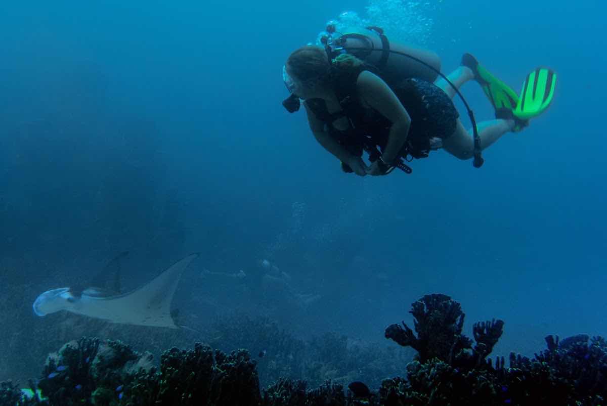 Laidenki Diving and Tours photo 7