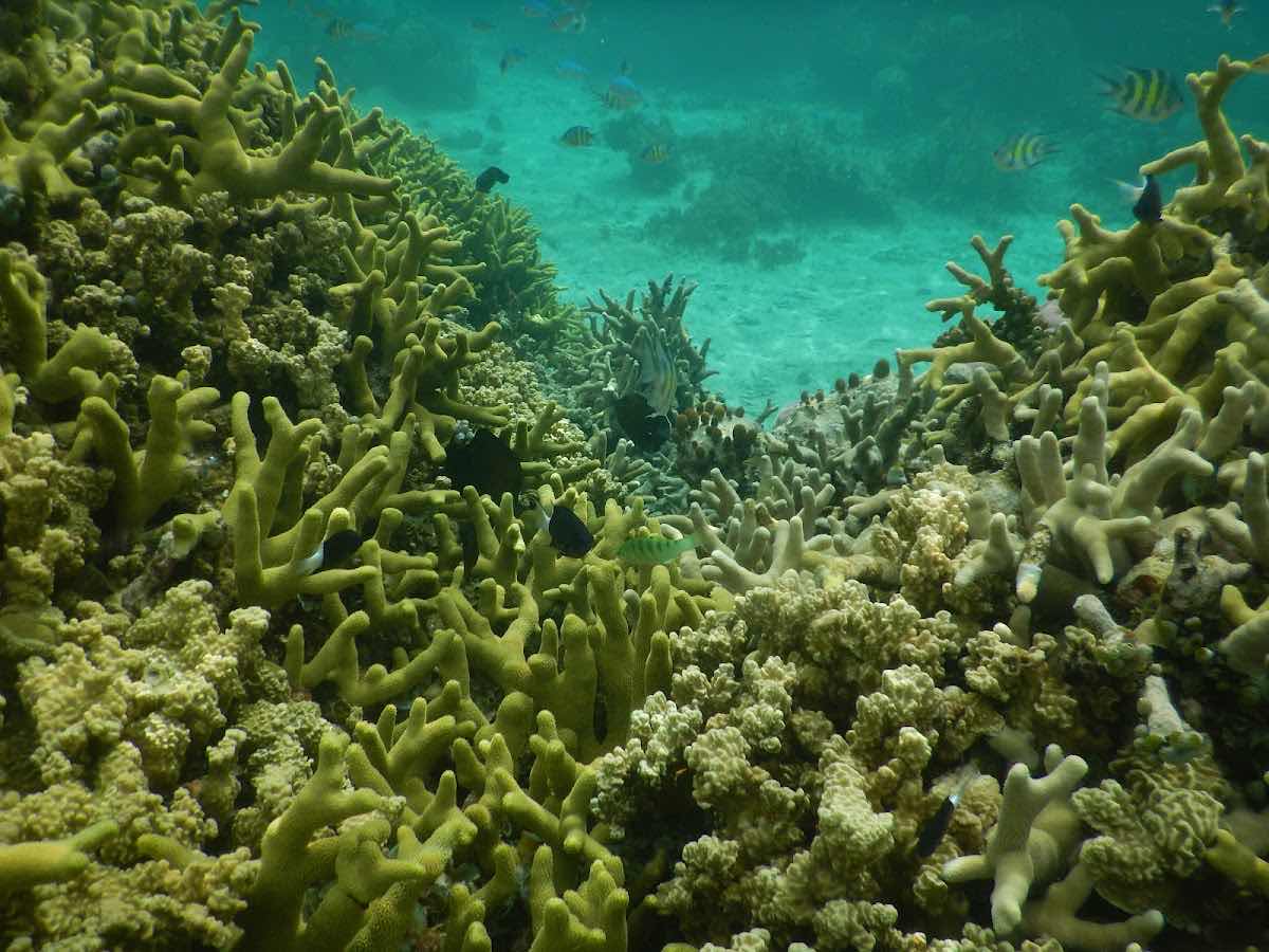 Laidenki Diving and Tours photo 8