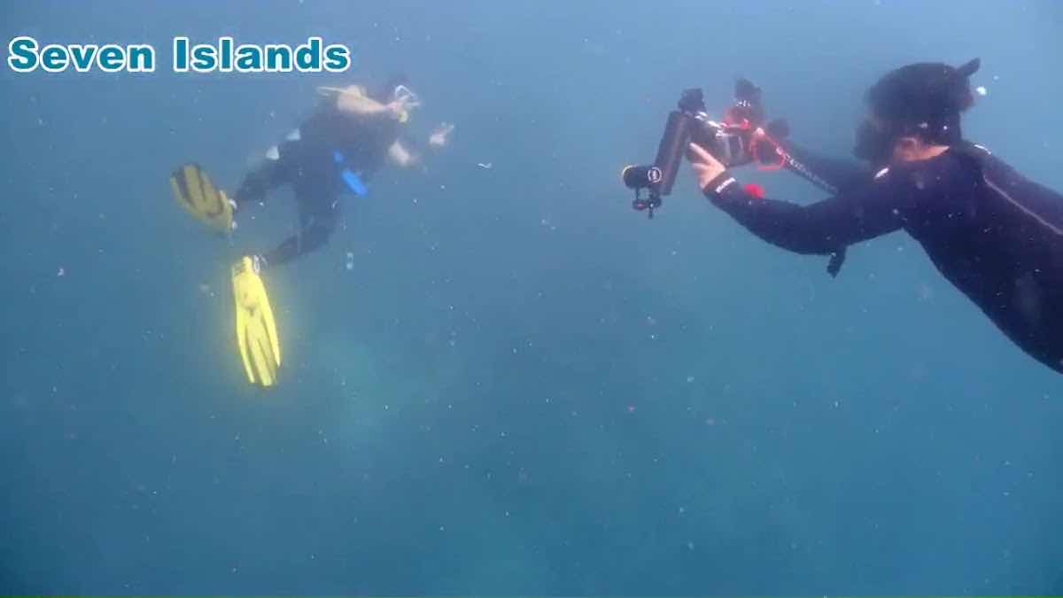 OhCEAN DIVE photo 3