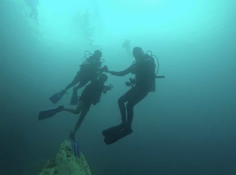 OhCEAN DIVE photo 6