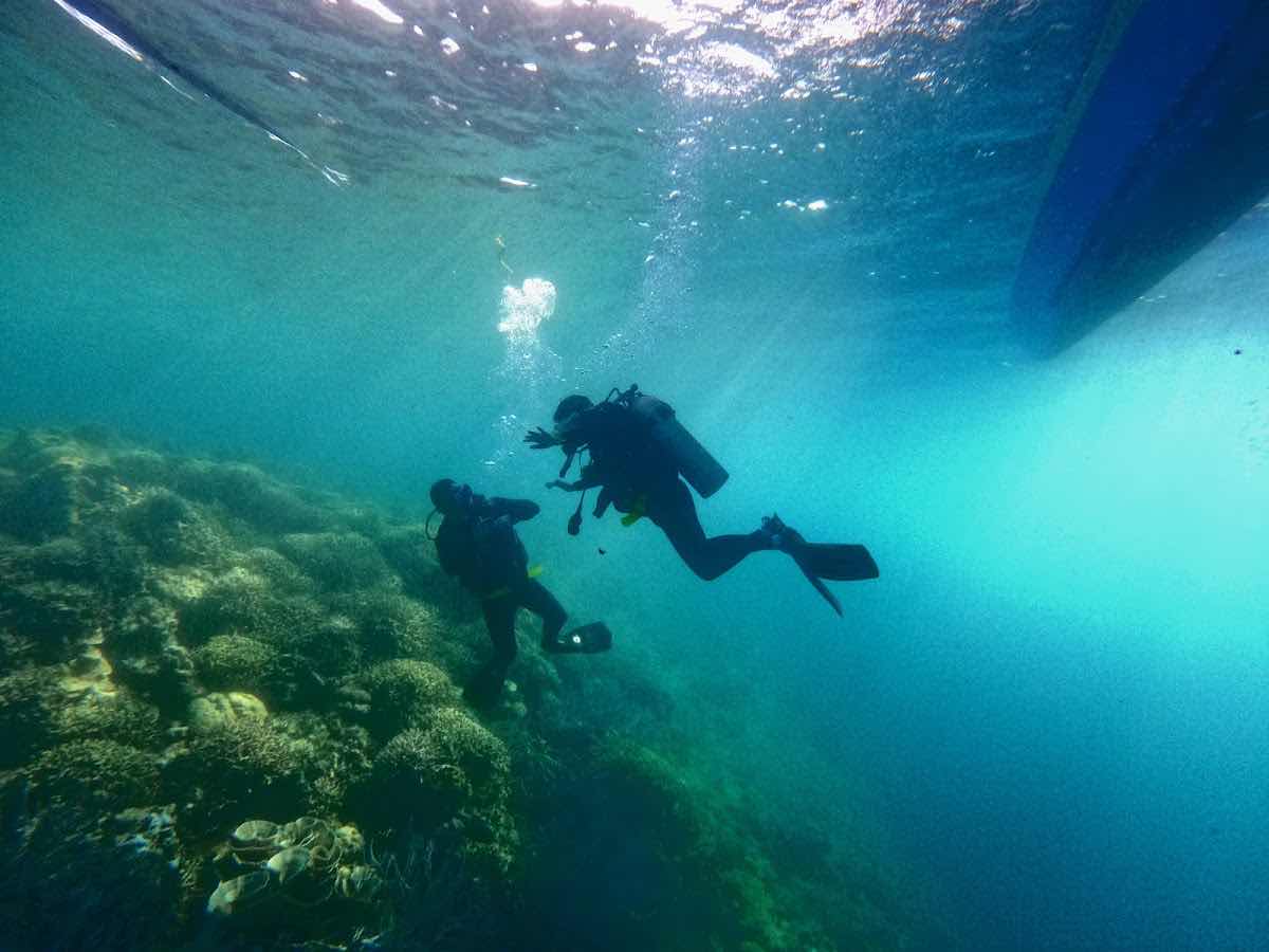 OhCEAN DIVE photo 7