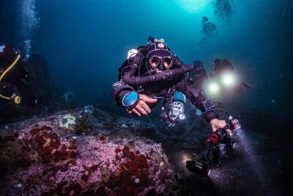 OhCEAN DIVE photo 9