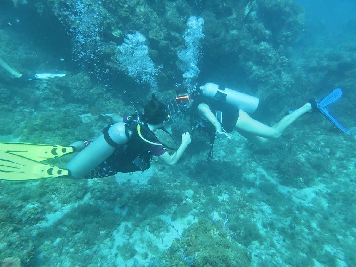 JJ Divers Snorkeling & Scuba Tours photo 3