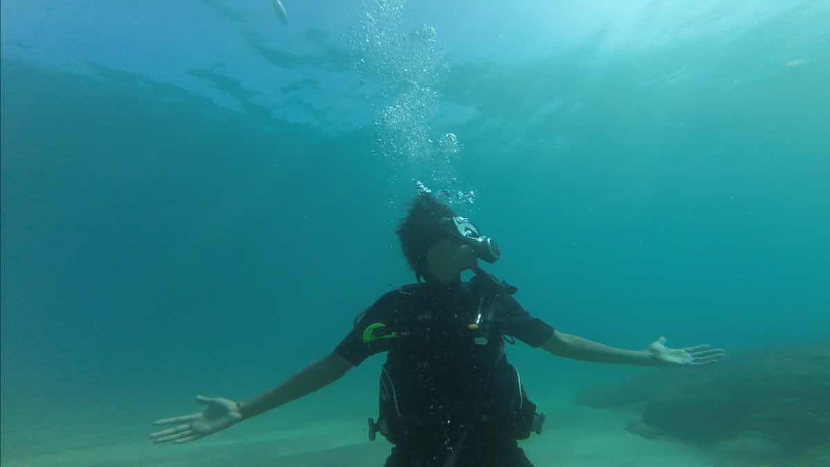 JJ Divers Snorkeling & Scuba Tours photo 4