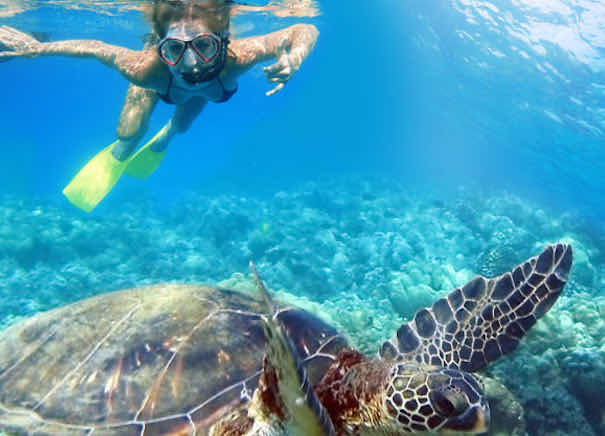 JJ Divers Snorkeling & Scuba Tours photo 7