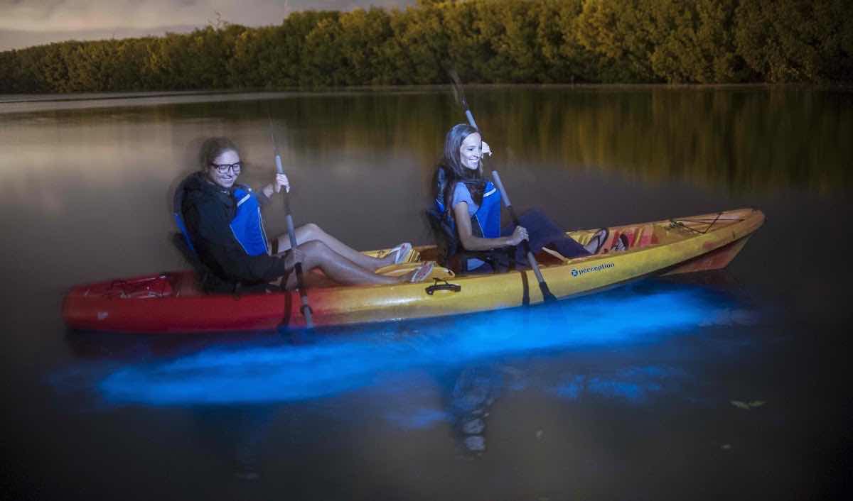White Sand Water Sports photo 9