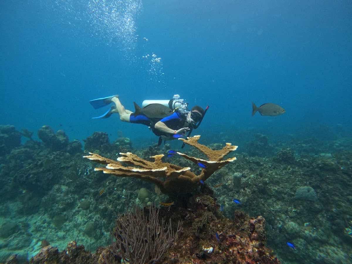 Varadero Diving Tour photo 5