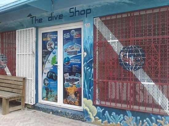 Blue Bubbles Sports & Tours photo 2