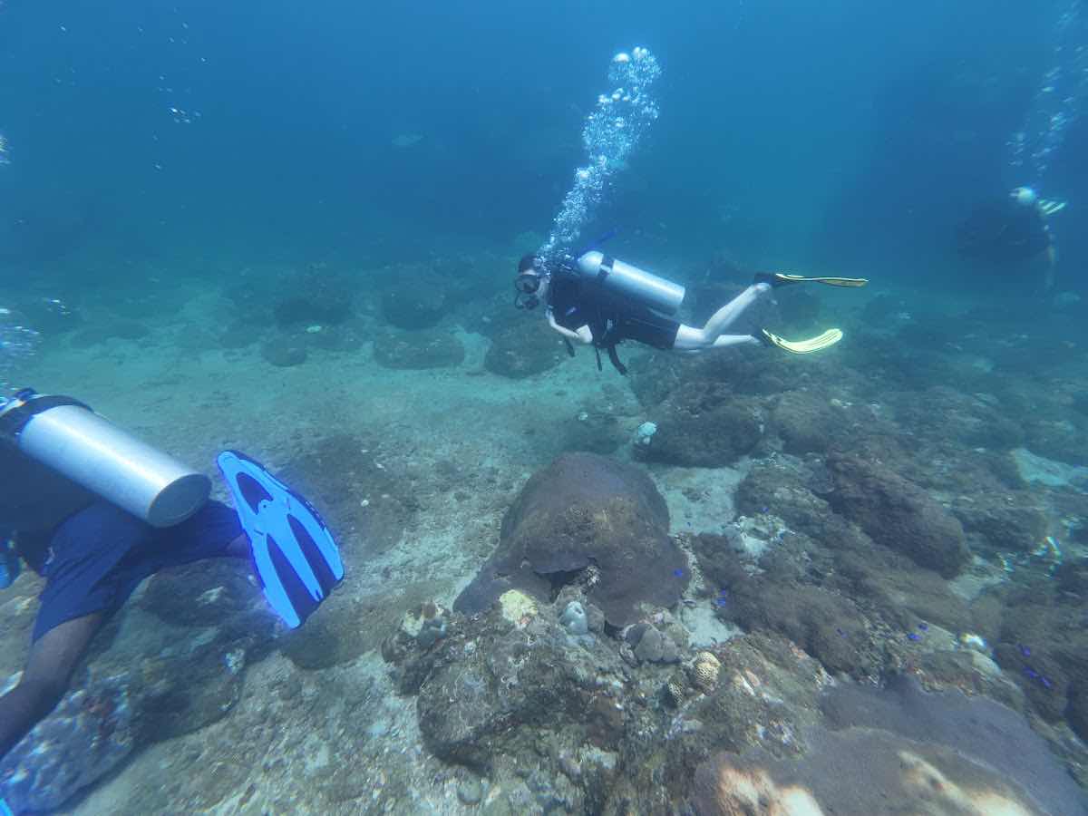 Srilanka Dive School photo 1