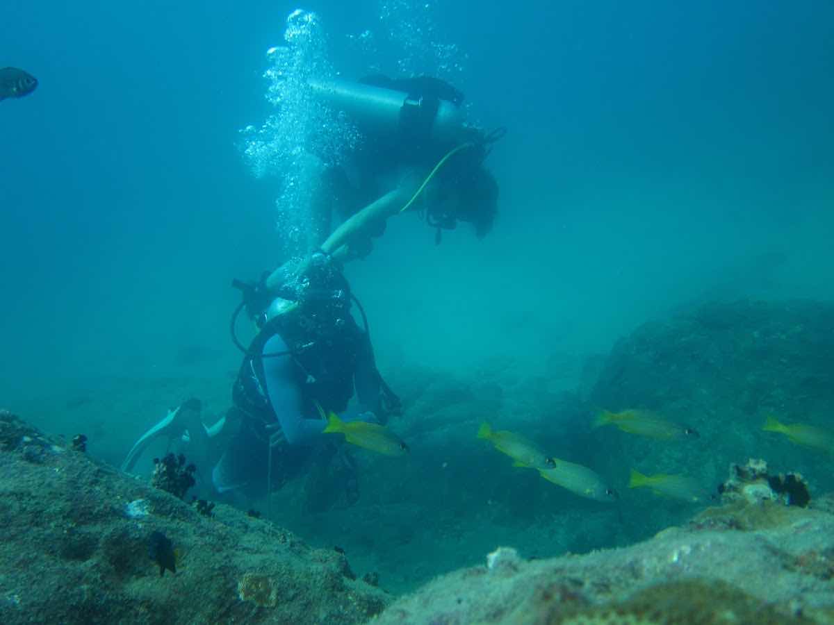 Srilanka Dive School photo 5