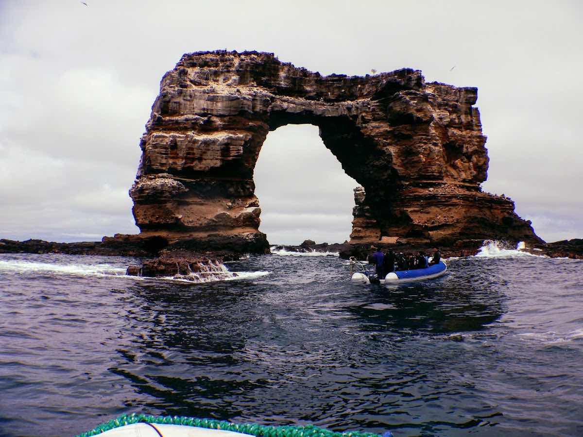 Galapagos Shark Diving photo 7