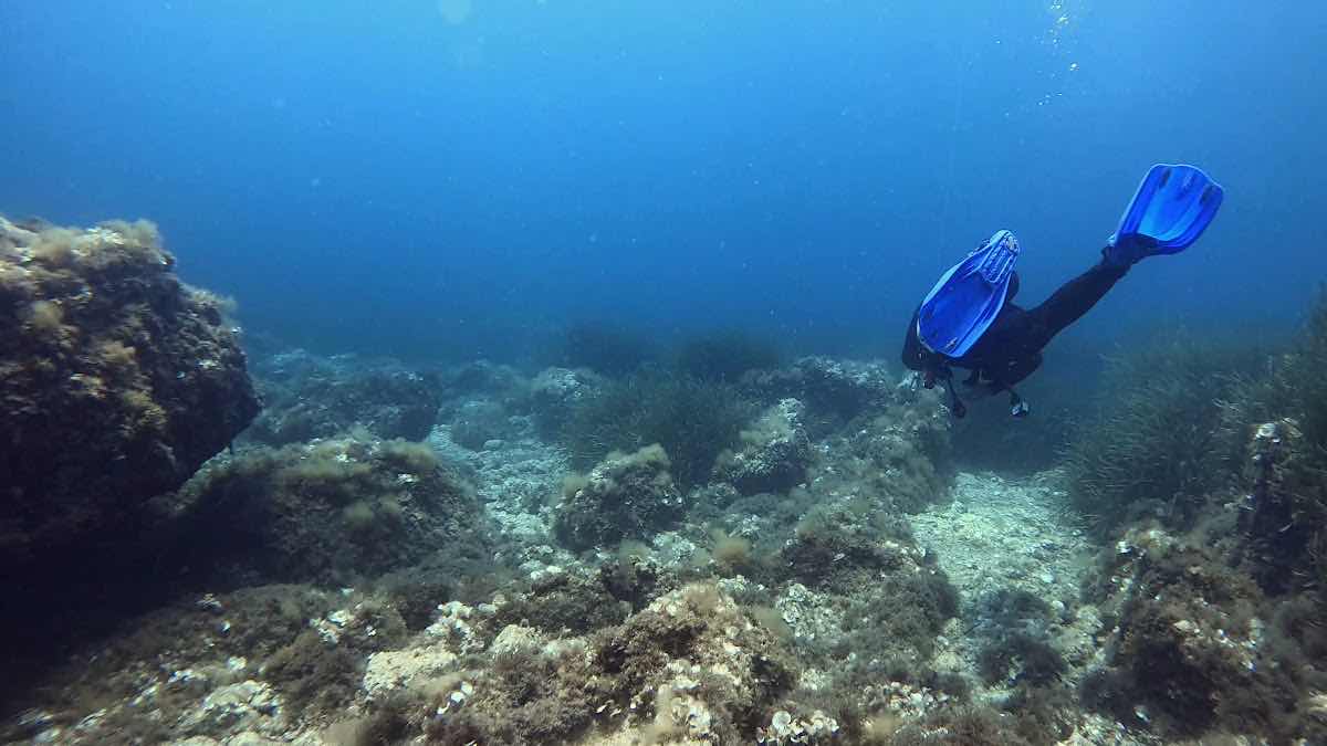 Norway Dive Mallorca - PADI 5 Star IDC Scuba Diving Center photo 3