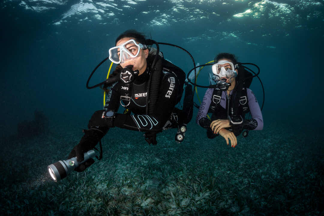 Norway Dive Mallorca - PADI 5 Star IDC Scuba Diving Center photo 6