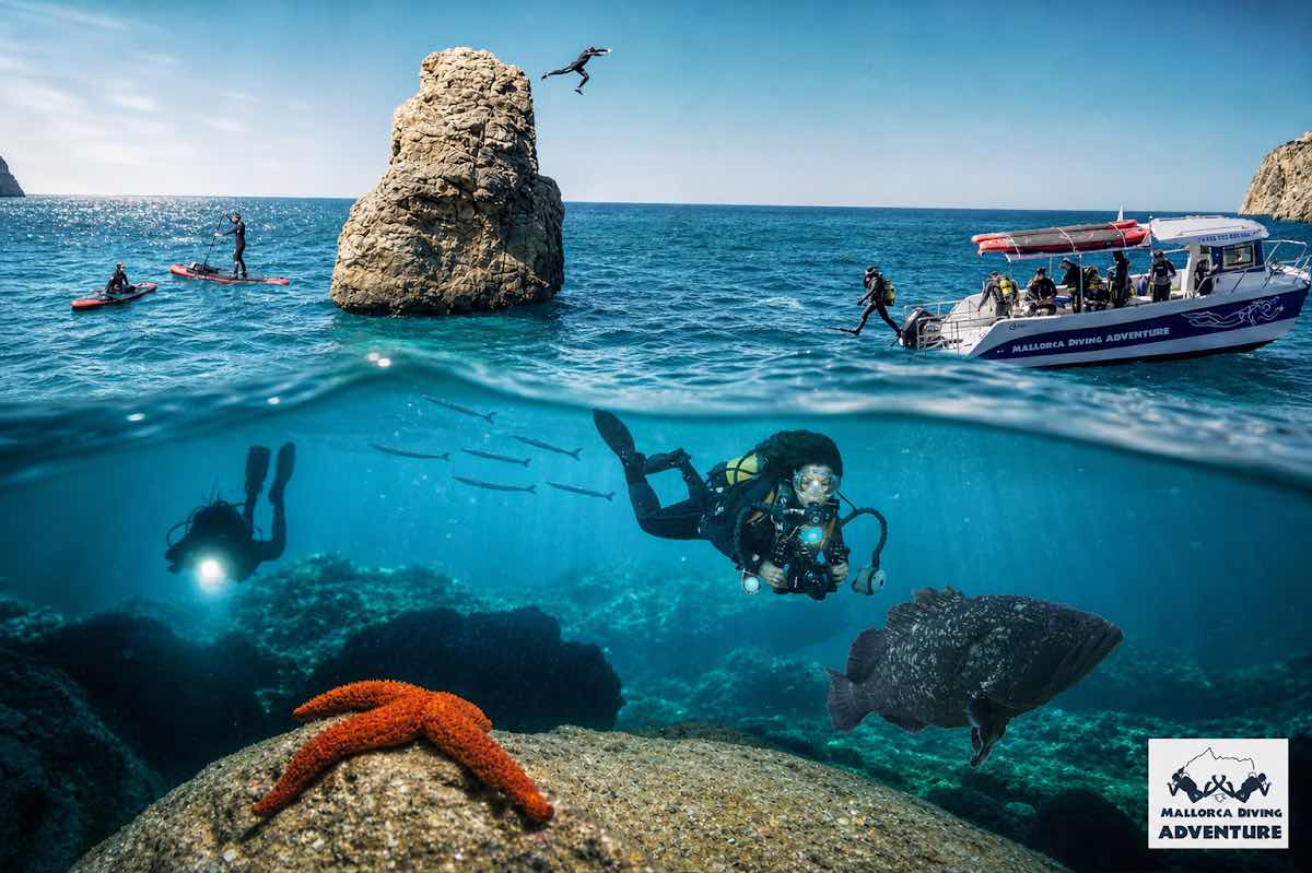 Norway Dive Mallorca - PADI 5 Star IDC Scuba Diving Center photo 10