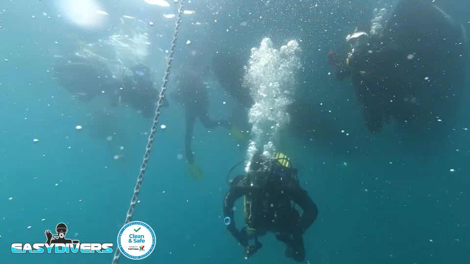 Easydivers Dive Center - Diving School photo 3