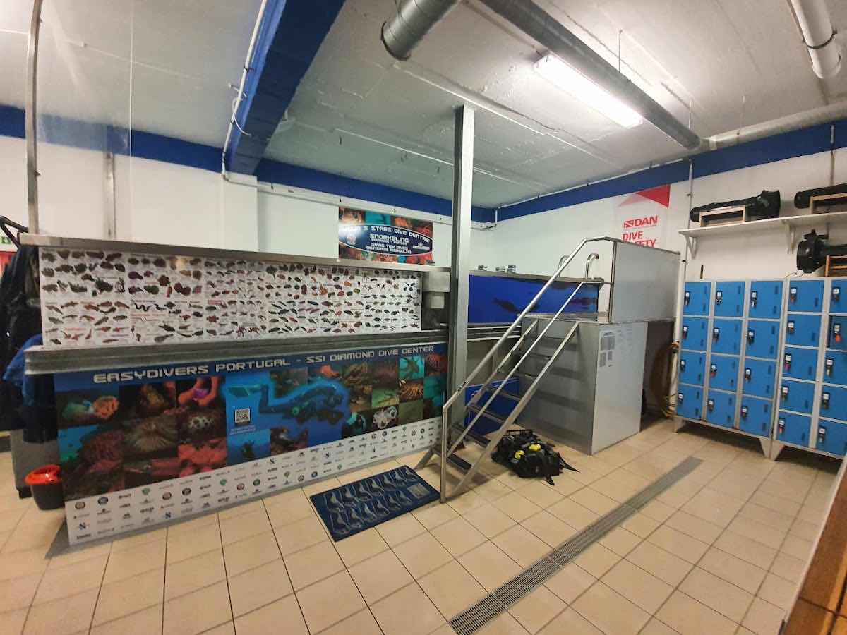Easydivers Dive Center - Diving School photo 5
