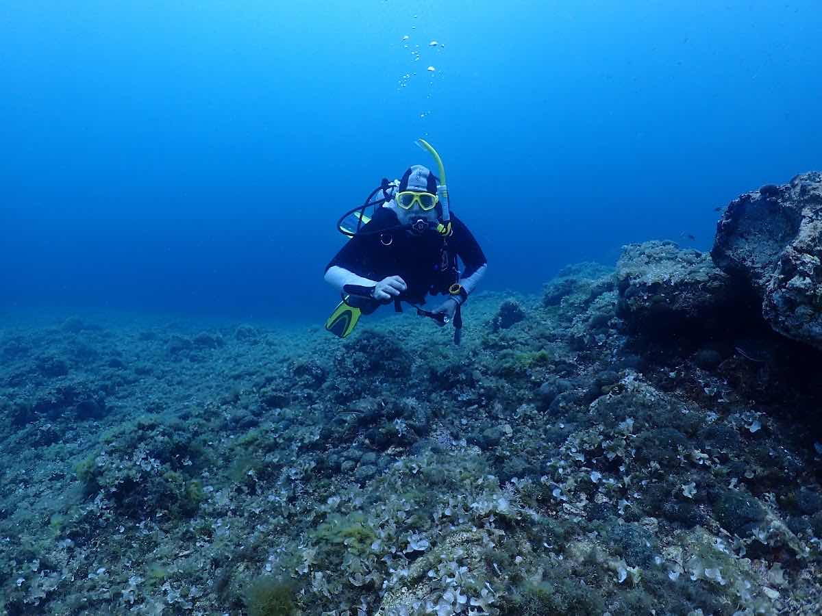 Pongo Diving Center photo 7