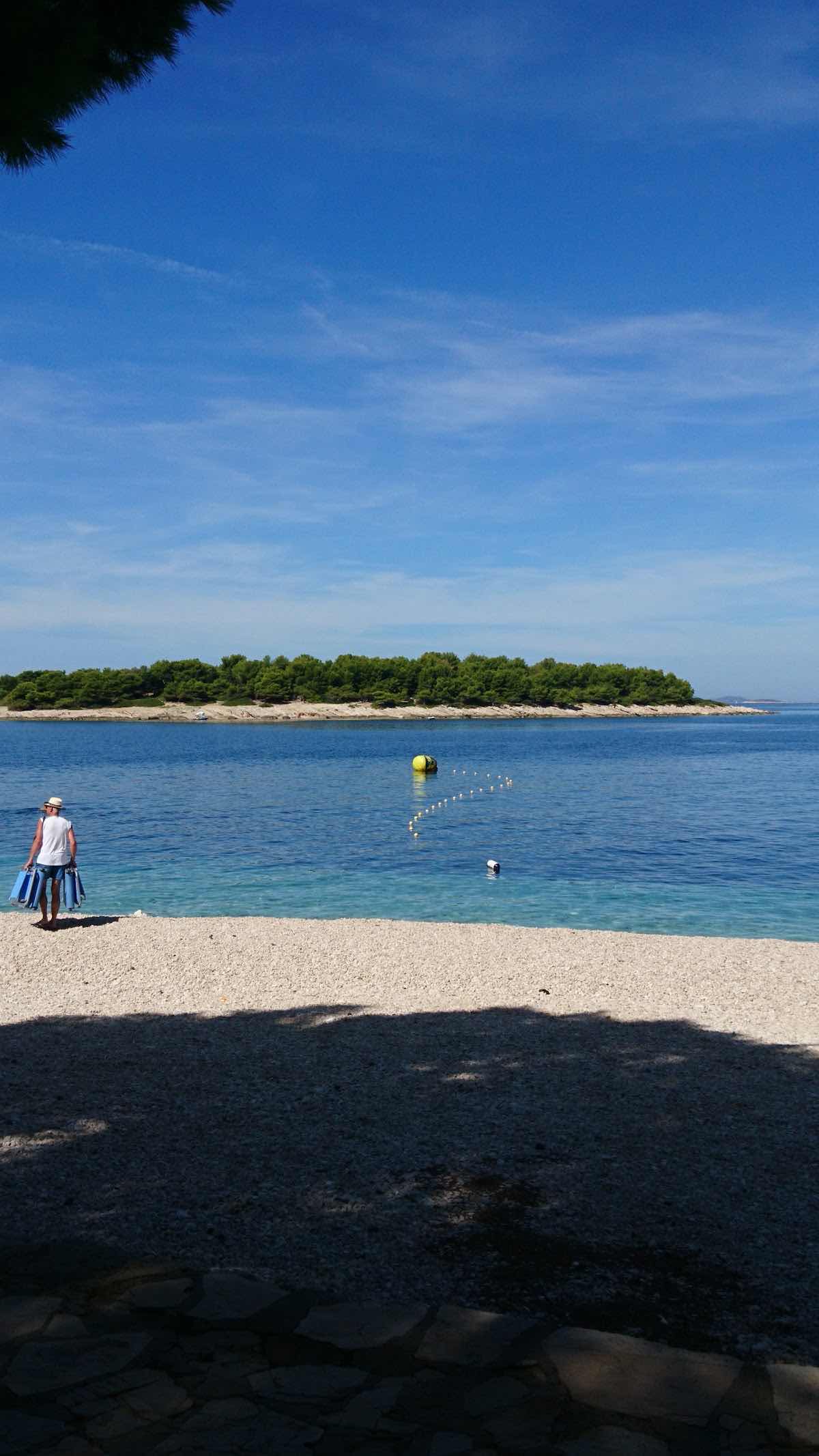 Pongo Diving Center photo 8