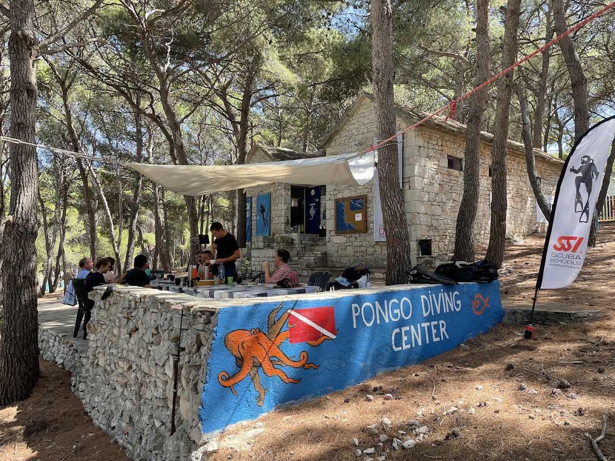 Pongo Diving Center photo 9