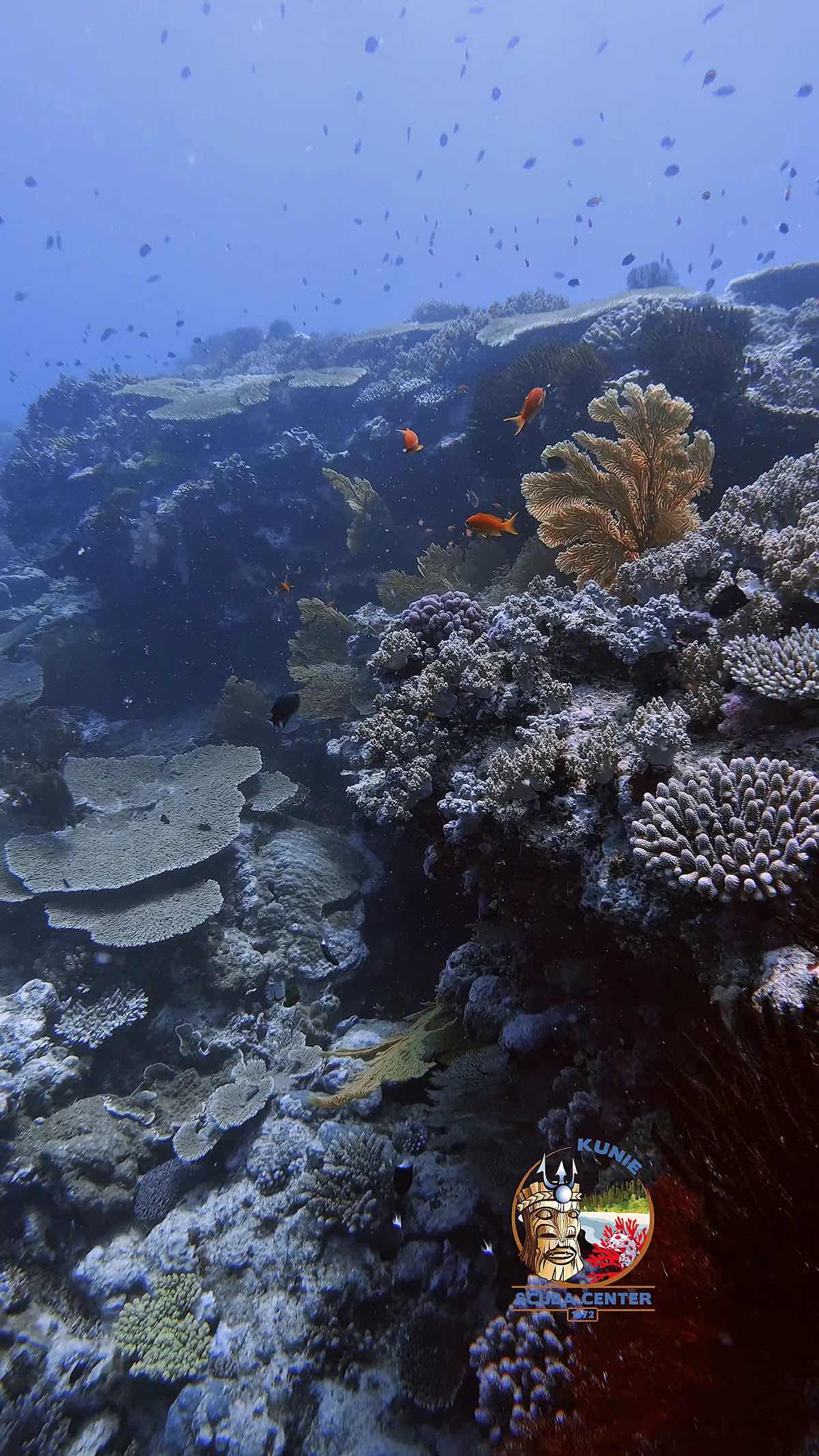 Kunie Scuba Center (Diving Center) photo 4