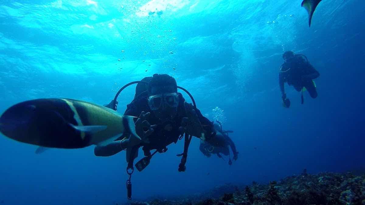 bluewavediving-zanzibar photo 7