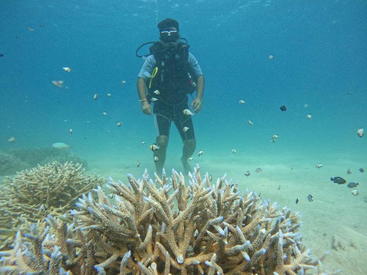ISLAND SCUBA”endless fun”lPADI DIVE CENTER photo 5