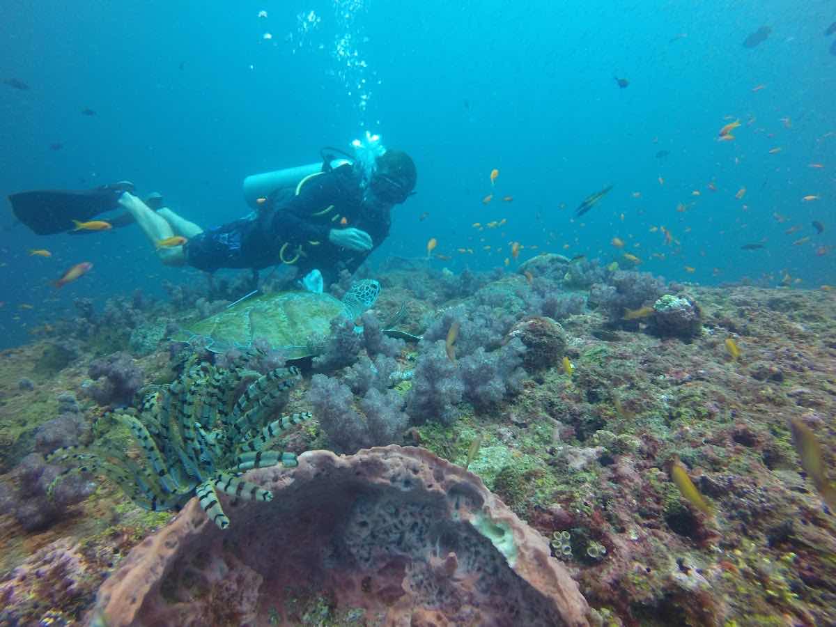ISLAND SCUBA”endless fun”lPADI DIVE CENTER photo 6