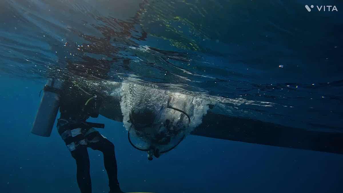 ISLAND SCUBA”endless fun”lPADI DIVE CENTER photo 9